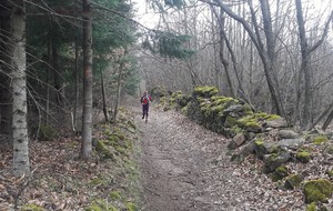 5aa59aa23d497_20180311105343.jpg